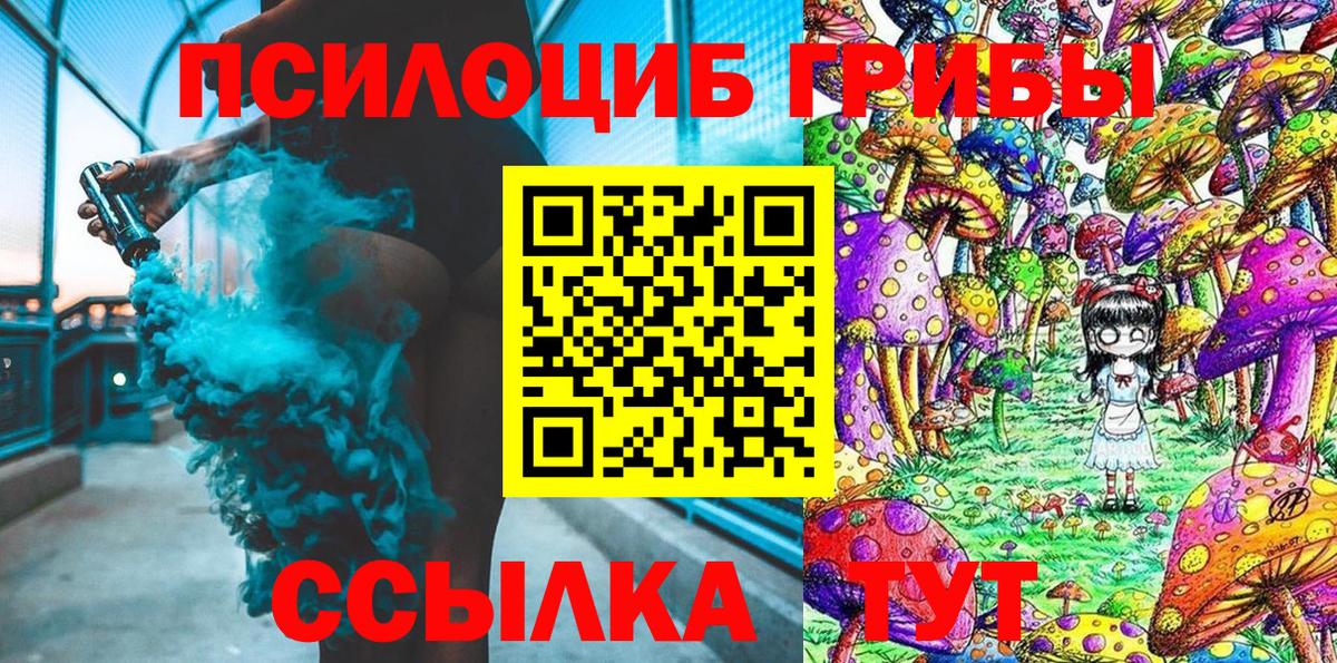 Псилоцибиновые грибы Cubensis Мценск