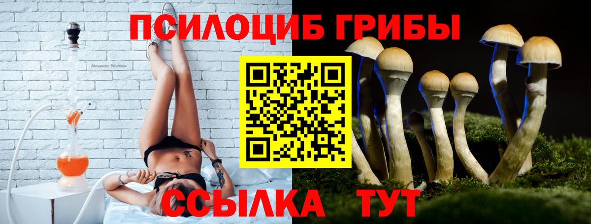 Псилоцибиновые грибы Magic Shrooms  Вход с VPN  Псилоцибиновые грибы мухоморы  Мценск 
